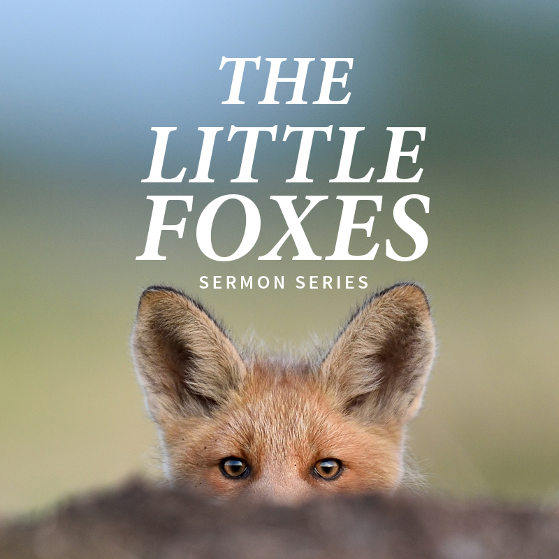 new-sermon-series-the-little-foxes-every-nation-dorado